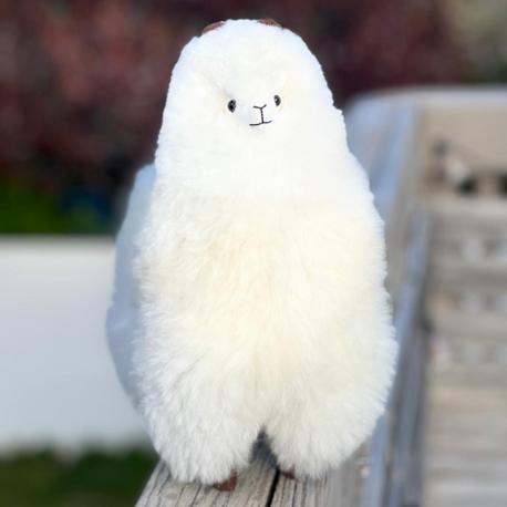 alpaca2